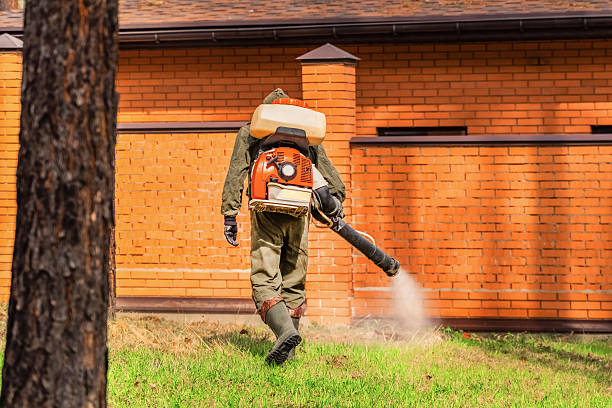 Trusted Cockroach Control service in Del Norte, CO - Nex Pest Control
